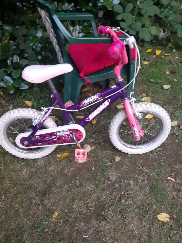 wild 14 bike